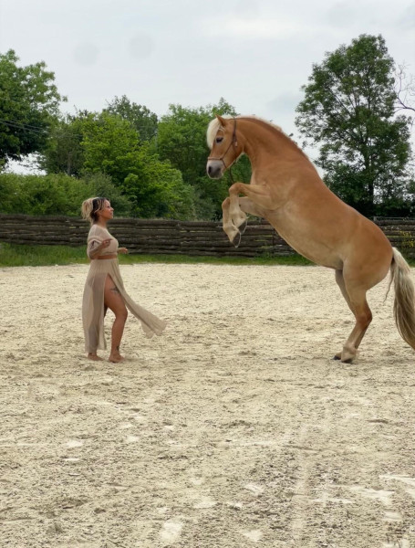 Photo de profil de ponytella