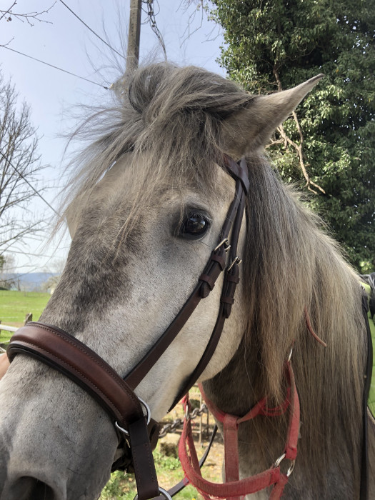 Photo de profil de popcrystal