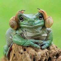 Photo de profil de pounki