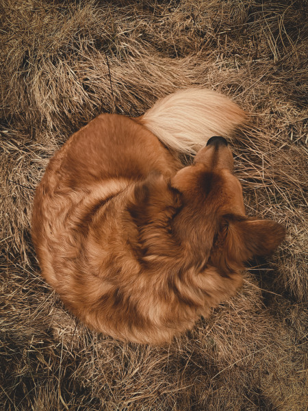 Photo de profil de poupipou