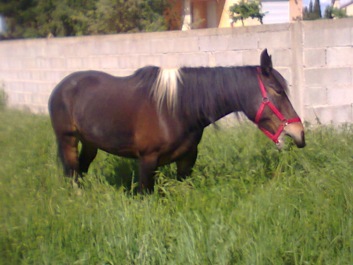 Photo de profil de poupynet