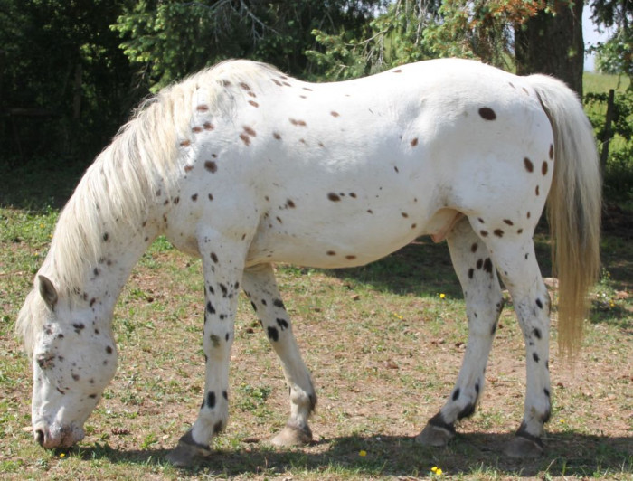 Photo de profil de powo