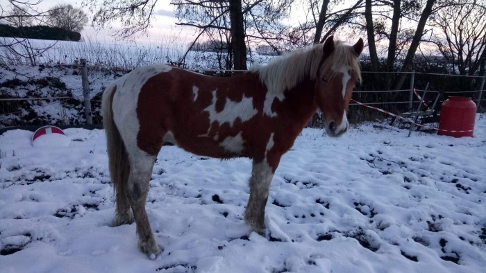 Photo de profil de pp2004