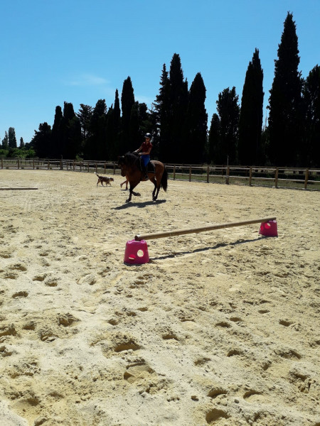 Photo de profil de ppauline7