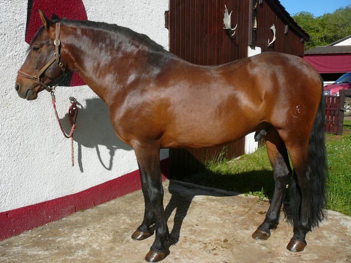 Photo de profil de pr12