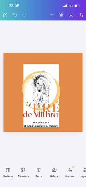 Photo de profil de predemithra