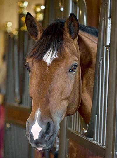 Photo de profil de prince06