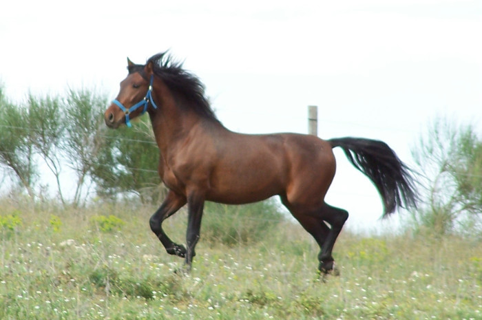 Photo de profil de prome34