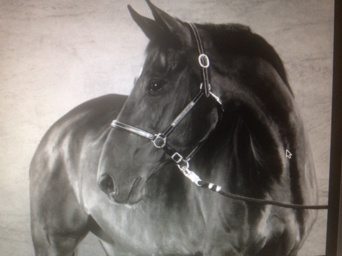 Photo de profil de prune06