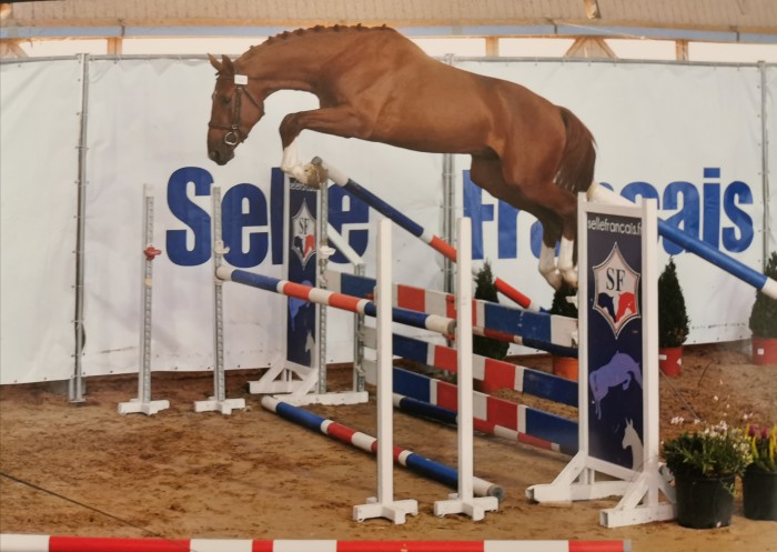 Photo de profil de pse79