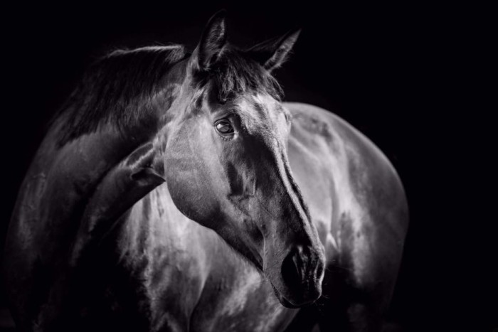 Photo de profil de pyrate.urugway