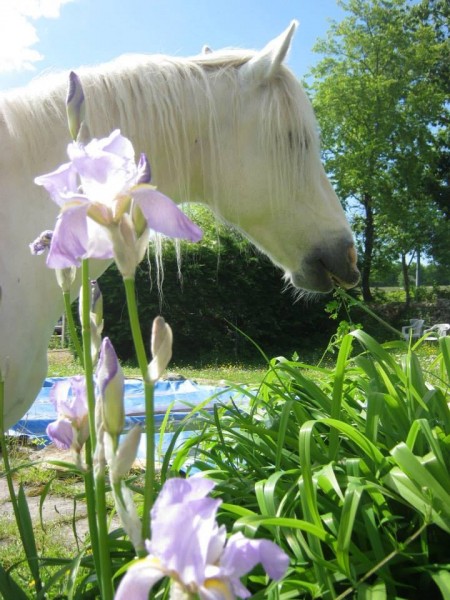 Photo de profil de qeza