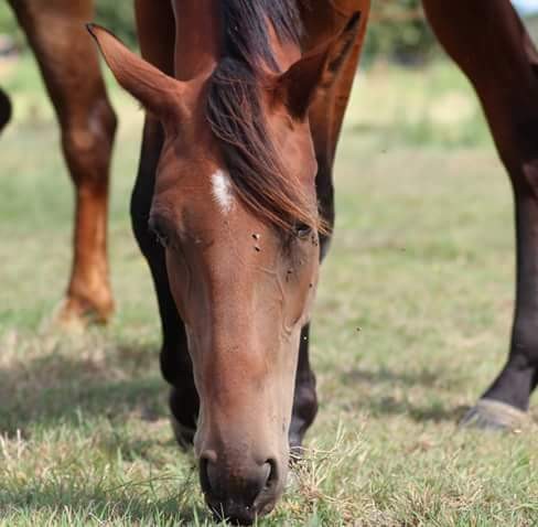 Photo de profil de quanero44