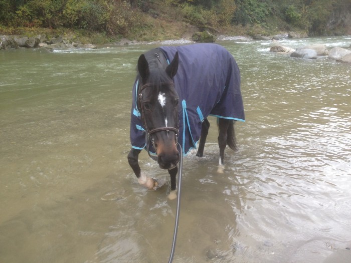 Photo de profil de quantum_esprit