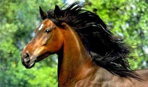Photo de profil de quatiedelozier