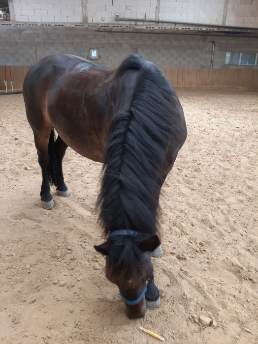 Photo de profil de quatrodecuges