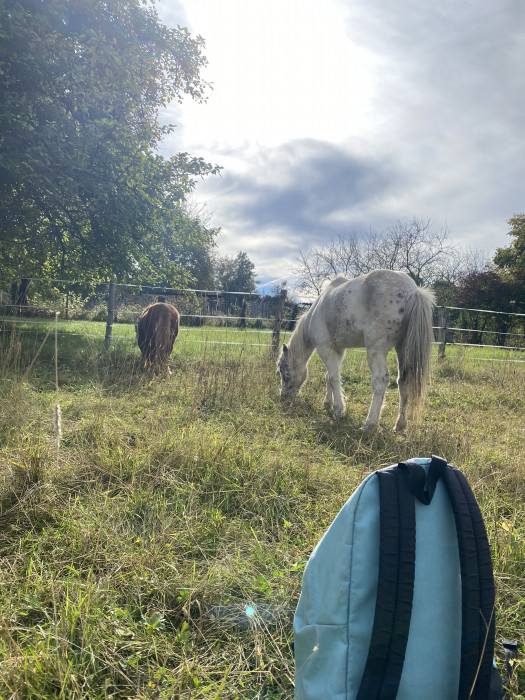 Photo de profil de queenpluton