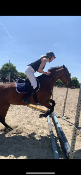 Photo de profil de queenrzh