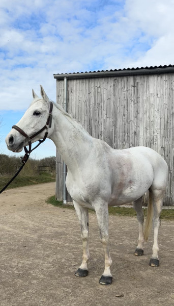 Photo de profil de quelau