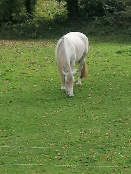 Photo de profil de quetch1234