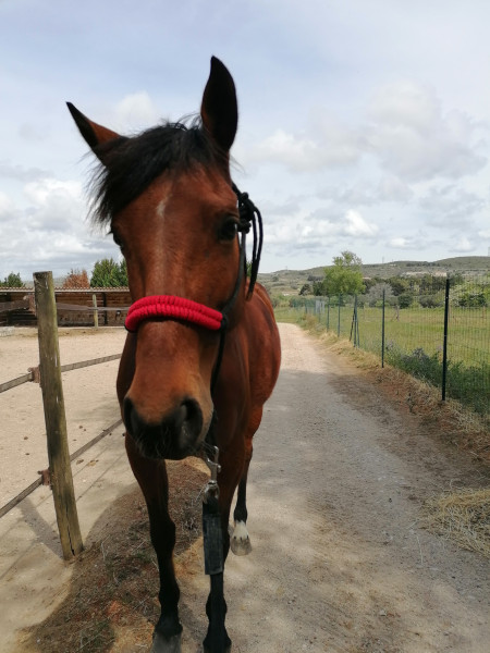 Photo de profil de quidanseuse
