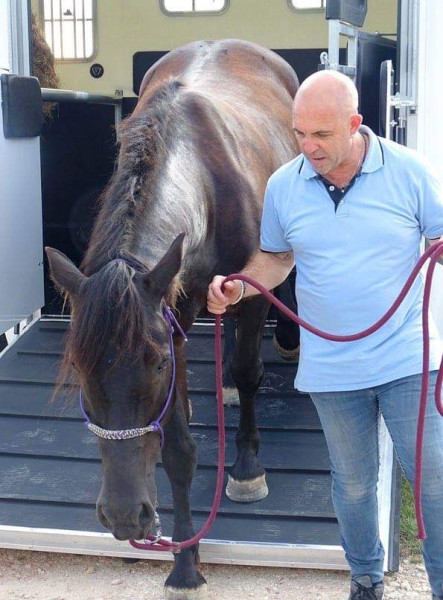 Photo de profil de quidocalme