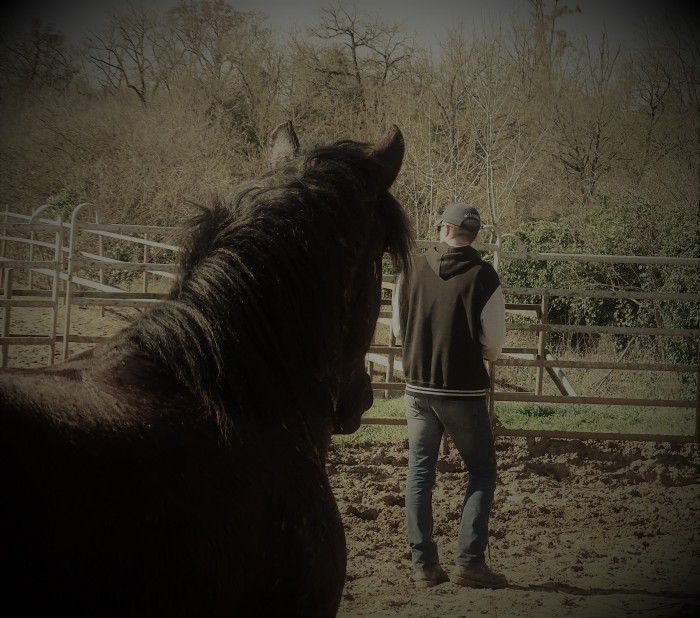 Photo de profil de quifletrie