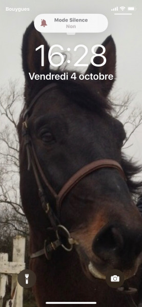 Photo de profil de quilane123