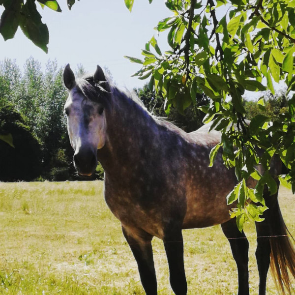 Photo de profil de quinco_spirit