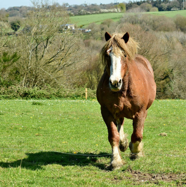 Photo de profil de quirinal4