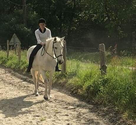 Photo de profil de rachellewolf