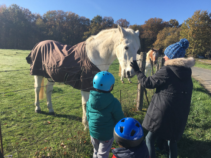 Photo de profil de rachelmk