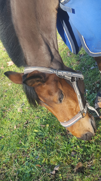 Photo de profil de radjahdubikou