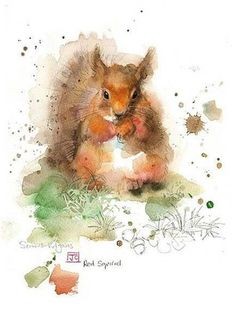 Photo de profil de raggachon