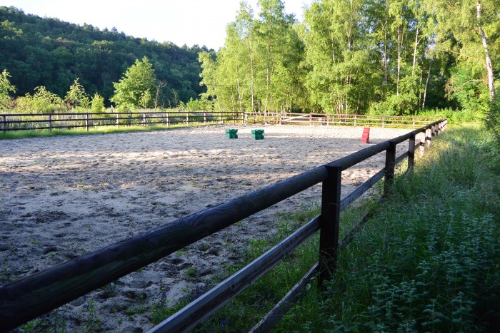 Photo de profil de rakanne