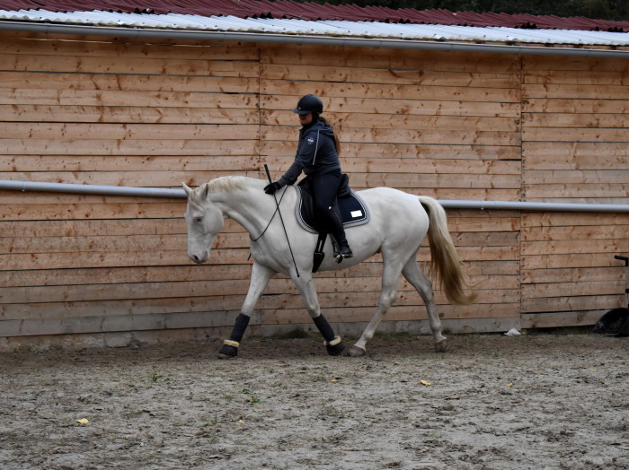 Photo de profil de ramses28