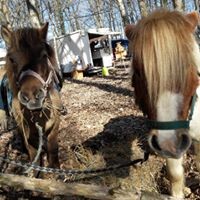 Photo de profil de ranchduloir