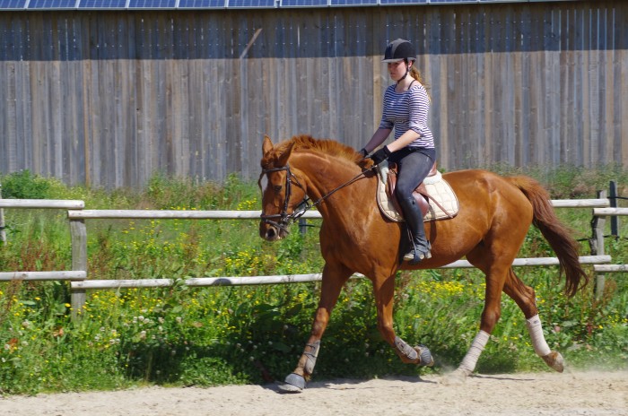 Photo de profil de rapha.blaise