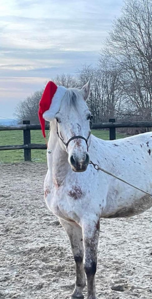 Photo de profil de raphal