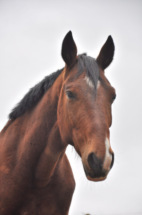 Photo de profil de raphy.and.cie