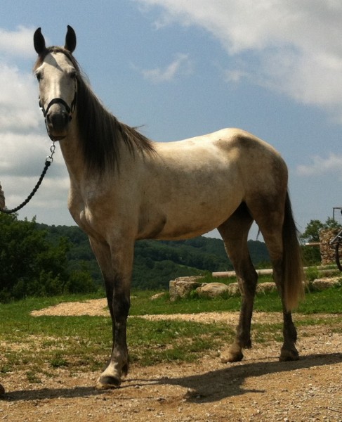 Photo de profil de rdu12