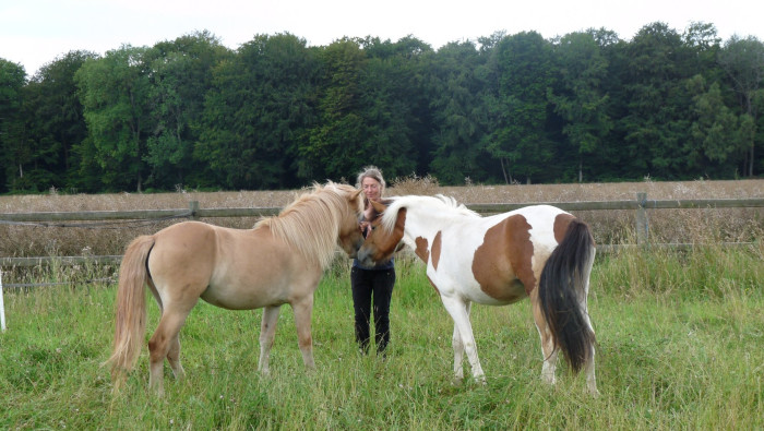 Photo de profil de rebi