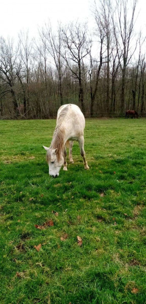 Photo de profil de recherchedechev