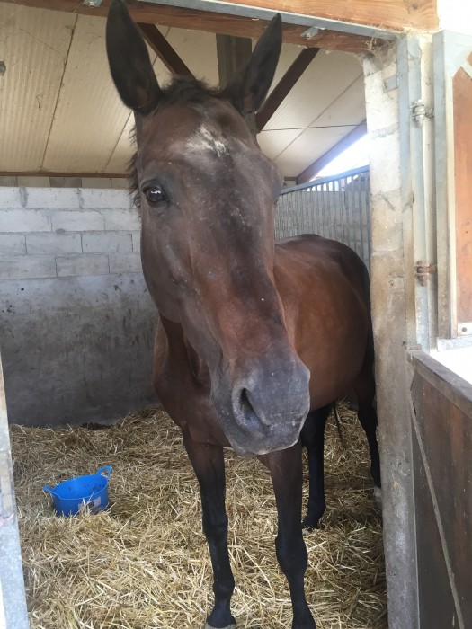 Photo de profil de redlea