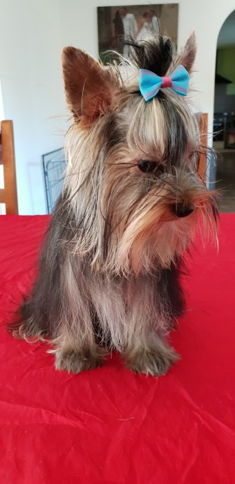 Photo de profil de reinechristy