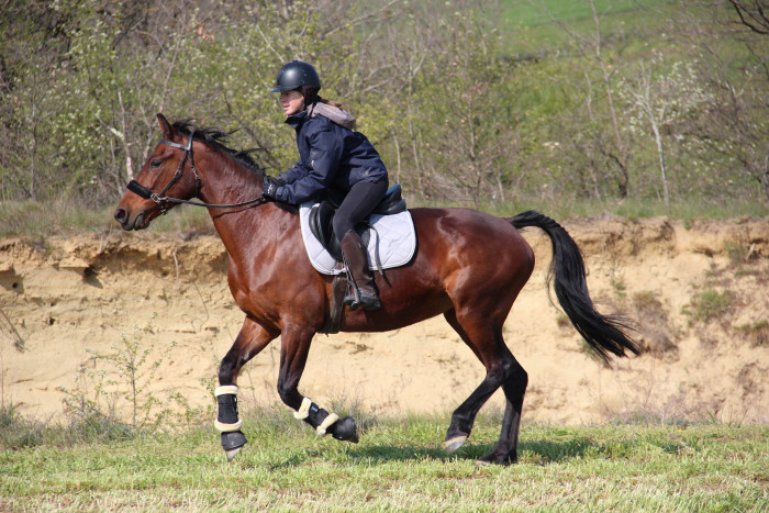 Photo de profil de rejane26