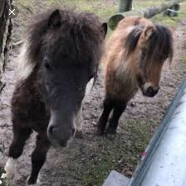 Photo de profil de ririade