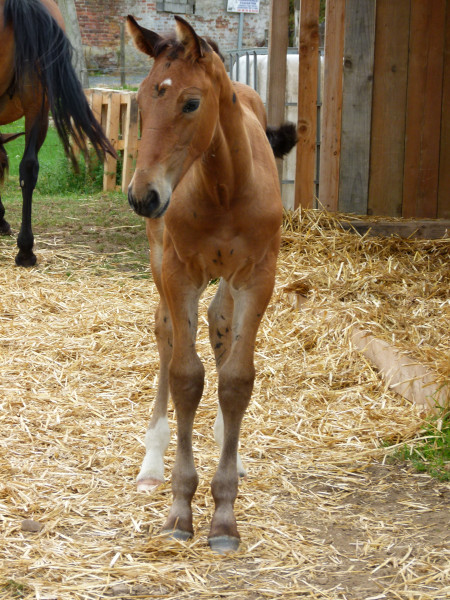 Photo de profil de romali59