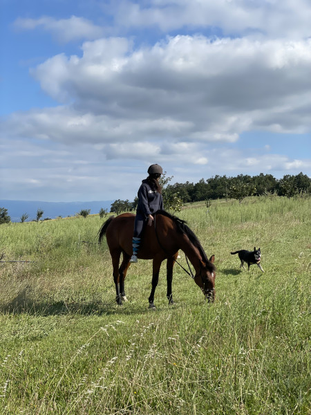 Photo de profil de romane27