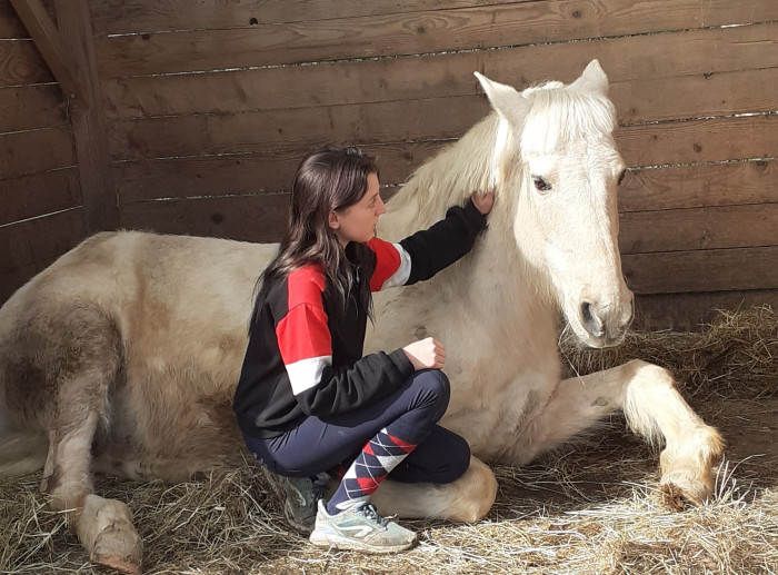 Photo de profil de romane.chv